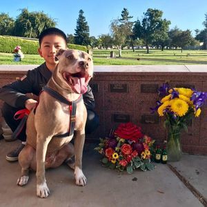 Meet your Posher, Aj